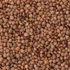 Brown Lentils