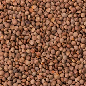 Brown Lentils