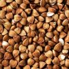 Buckwheat