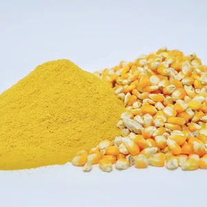 Corn Gluten Meal