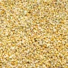 Foxtail Millet