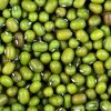 Green Gram (Mung Beans)