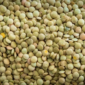 Green Lentils