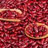 Kidney Beans (Red Beans)