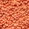 Red Lentils