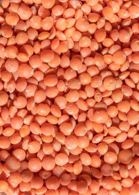 Red Lentils