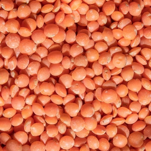 Red Lentils