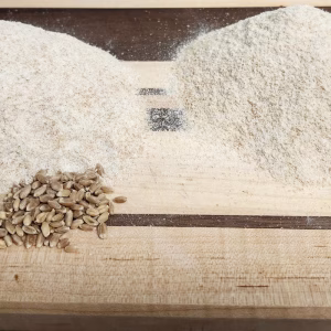 Fresh Milled Soft White Wheat Flour