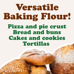 Organic Cassava Flour