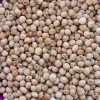Pigeon Peas