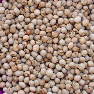Pigeon Peas
