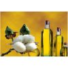 Refined & Crude Cotton Seed Oil