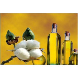 Refined & Crude Cotton Seed Oil