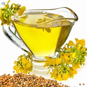 Refined Rapeseed Oil Or Crude Canola Oil