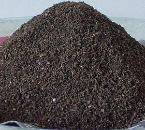 Vermicompost