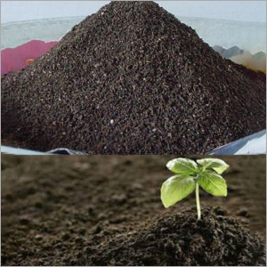 Vermicompost